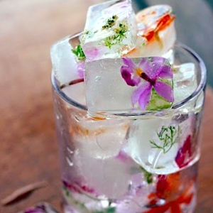 Floral Ice Cubes Square